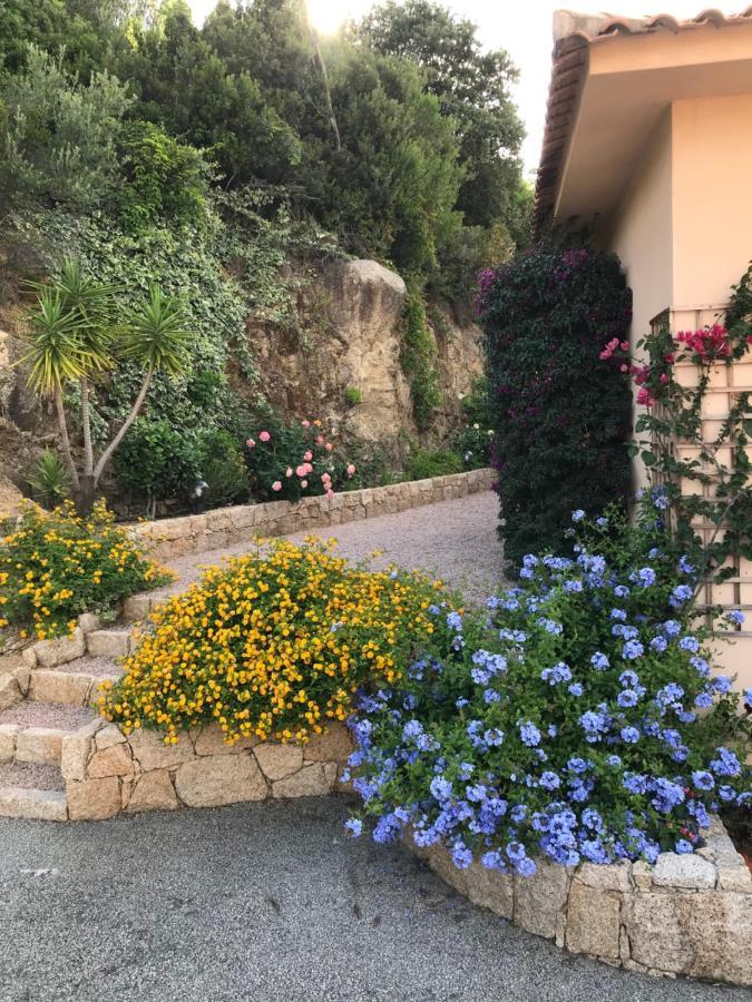 Residence Terra Thea Propriano  Εξωτερικό φωτογραφία